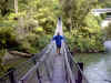 SwingBridge.JPG (186871 bytes)